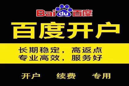 百度推广运营案例精选：助力企业成长